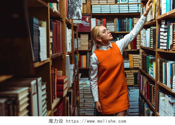 女人穿着橙色礼服拿着书金发和美丽的女人在橙色礼服拿着书，看着在图书馆 